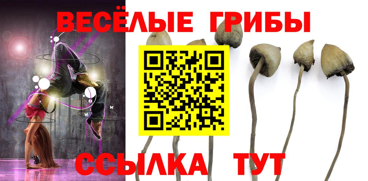 даркнет сайт  Вход с VPN  Назарово  Галлюциногенные грибы Psilocybe 